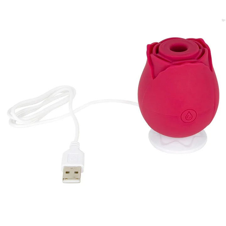 my rose toy stopped working Why Rose Toy Not Working Or Stopped Working? A Guide To Fix
