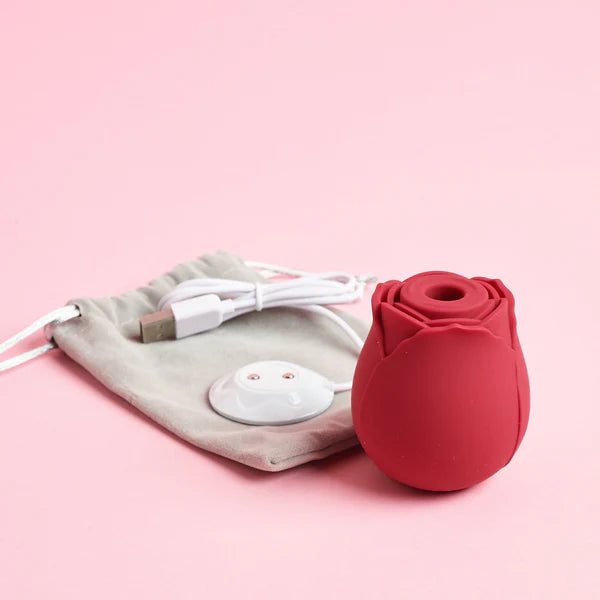 Can You Charge the Rose Toy with an Apple Watch Charger? Can You Charge the Rose Toy with an Apple Watch Charger?
