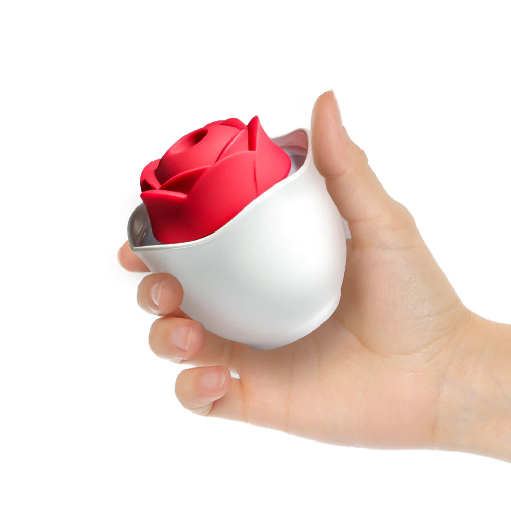 Is the Rose Toy Worth the Hype? An Honest Review Is the Rose Toy Worth the Hype? An Honest Review