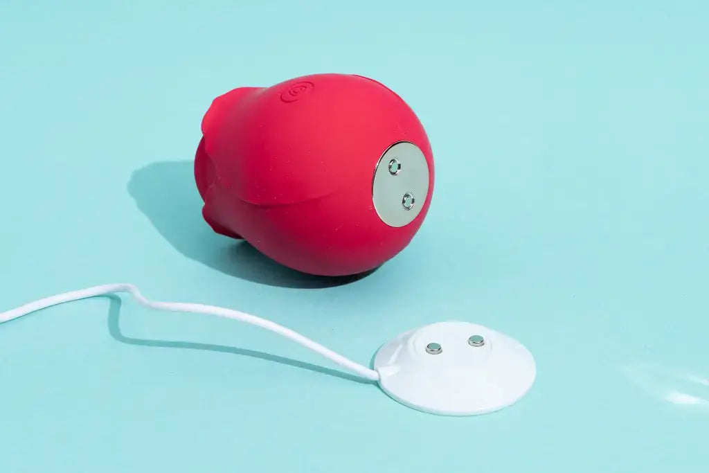 4 Common Reasons Your Rose Toy Isn't Charging and How to Fix Them
