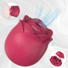 2 in 1 Sucking & Pulsating Rose Vibrator, Female Sex Toy for Clit Nipple Stimulation