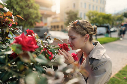 Girl and Rose Toy