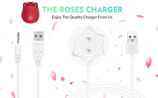 How to Charge Rose Toy Without Charger