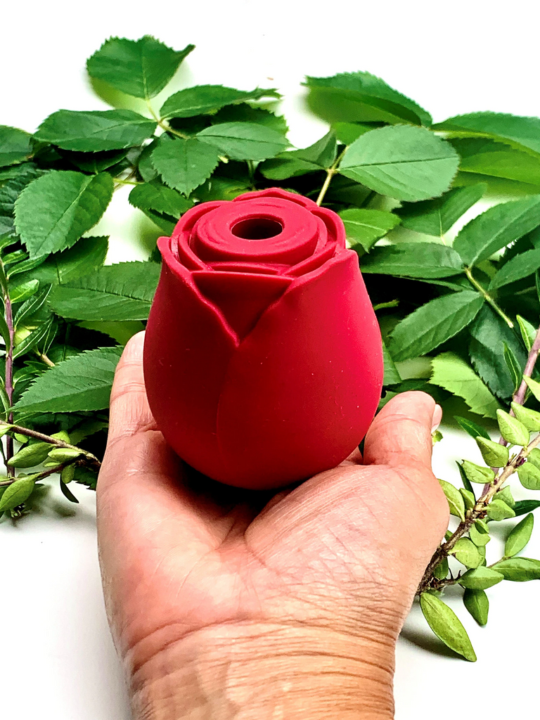 Why are the rose toys so colorful and popular? Why are the rose toys so colorful and popular?